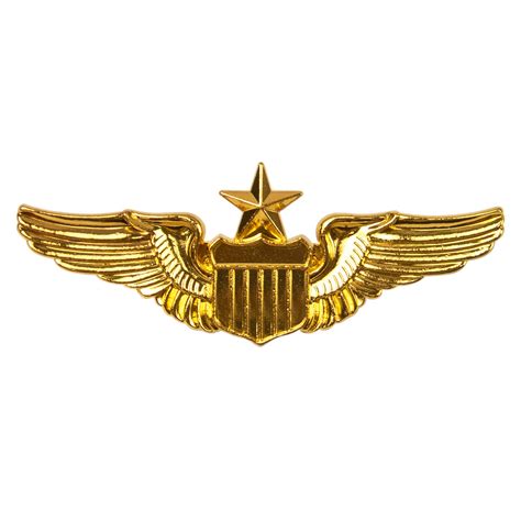 Aviator Pin.